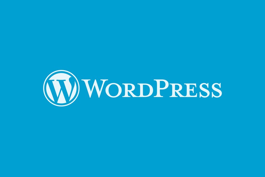 Everything You Always Wanted to Know About WordPress (But Were Afraid to Ask)